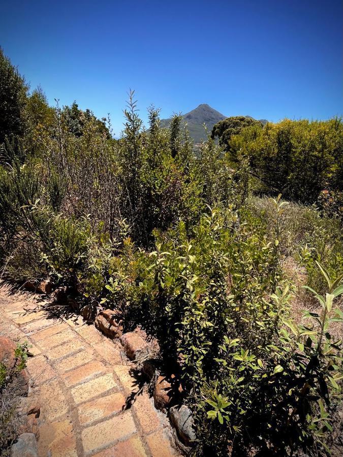 Windrose, Noordhoek, Sensationeller Meerblick Кейптаун Екстериор снимка